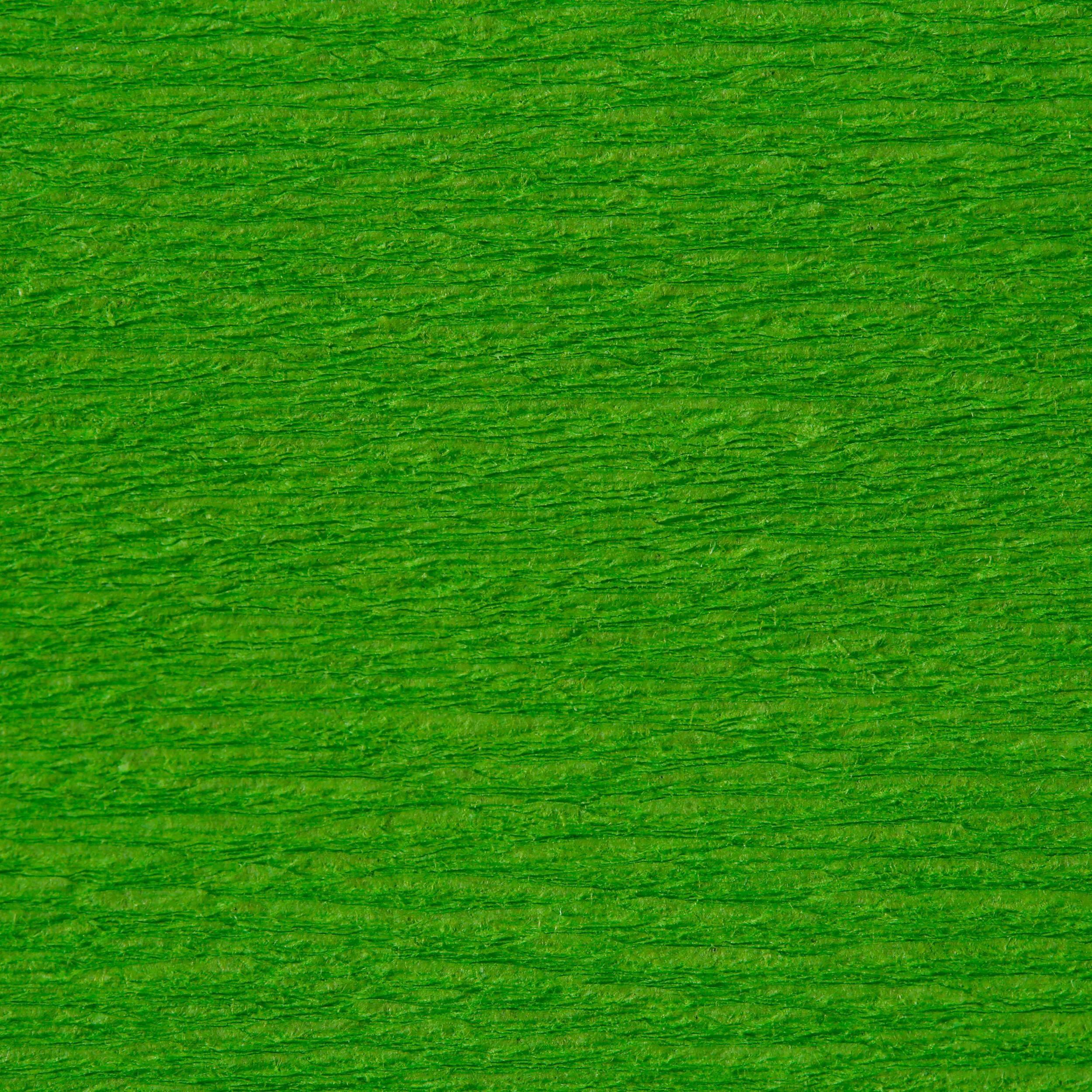 Clairefontaine 10x Krepppapier 1 Blatt 2,50x0,50m Wiesengrün 95121C