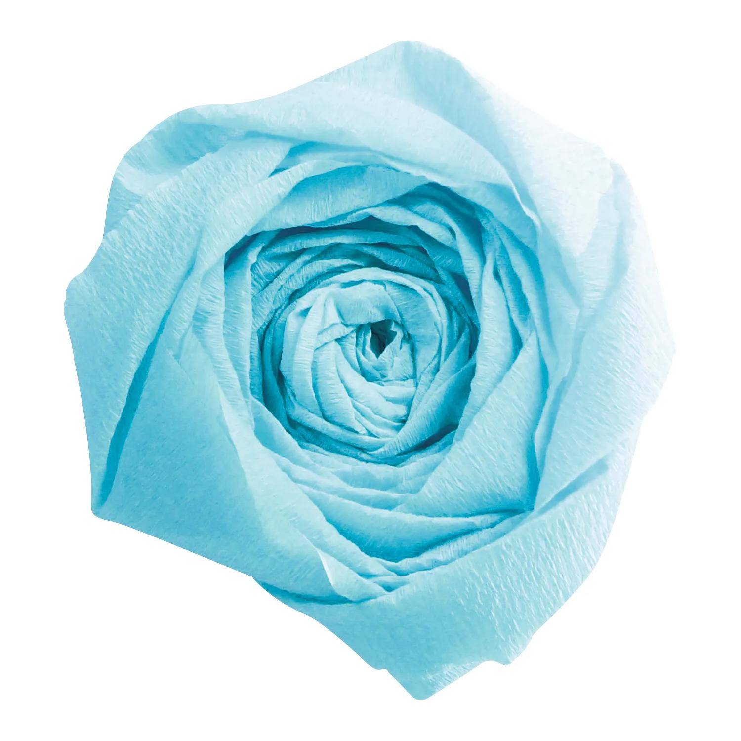 Eine einzelne hellblaue Rosenblüte isoliert auf weißem Hintergrund.