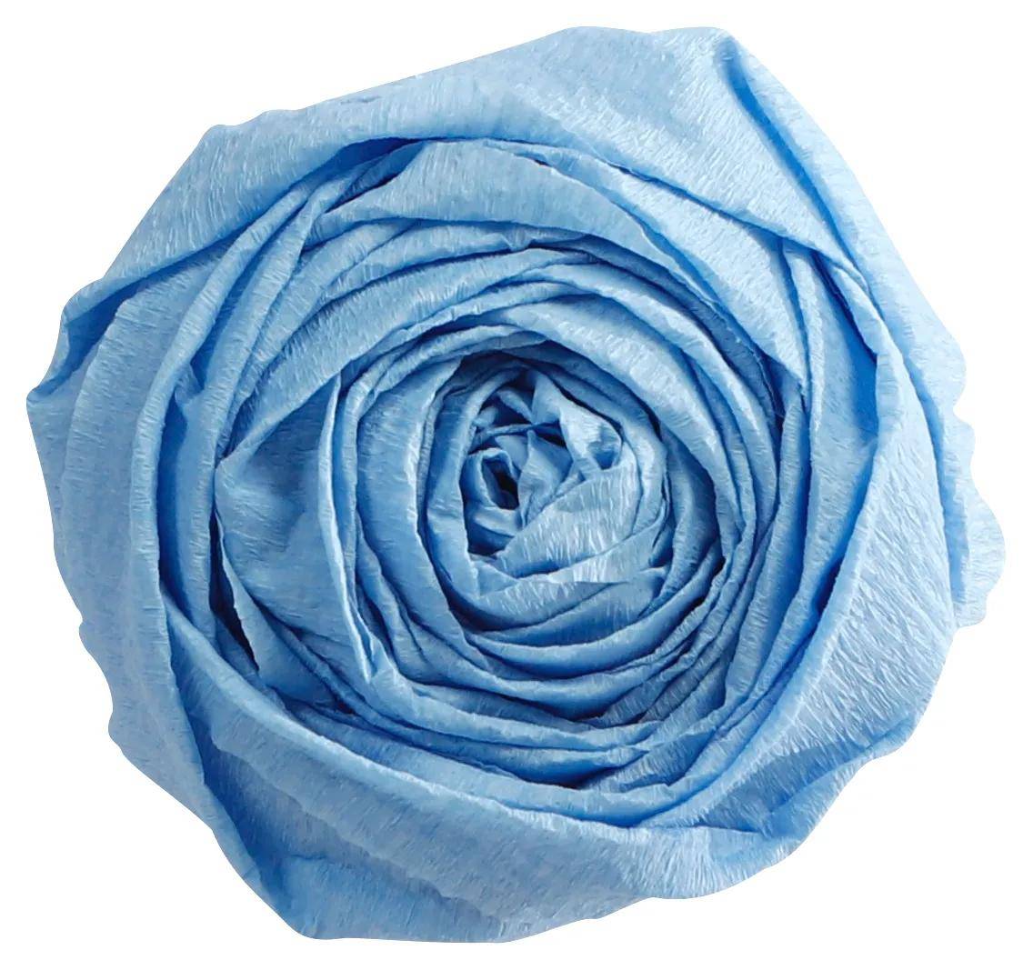 Nahaufnahme einer hellblauen Rosenblüte auf weißem Hintergrund.