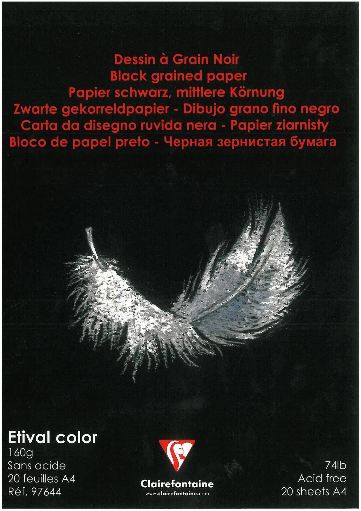 Clairefontaine 5x Zeichenblock kopfseitig geleimt DIN A4 20 Blatt Schwarz 97644C