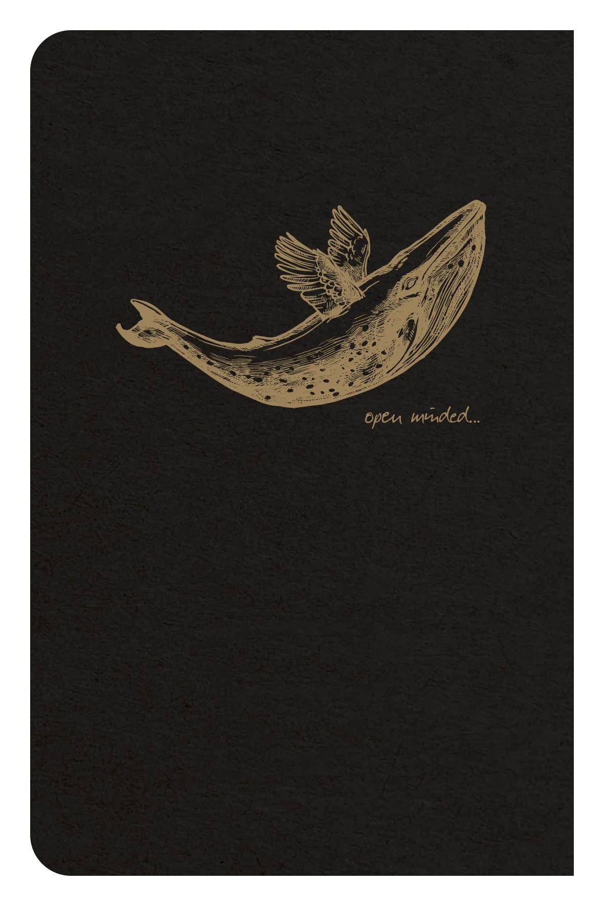 Clairefontaine 5x Flying Spirit Heft liniert 9x14 cm 48 Blatt - Schwarz 102596C