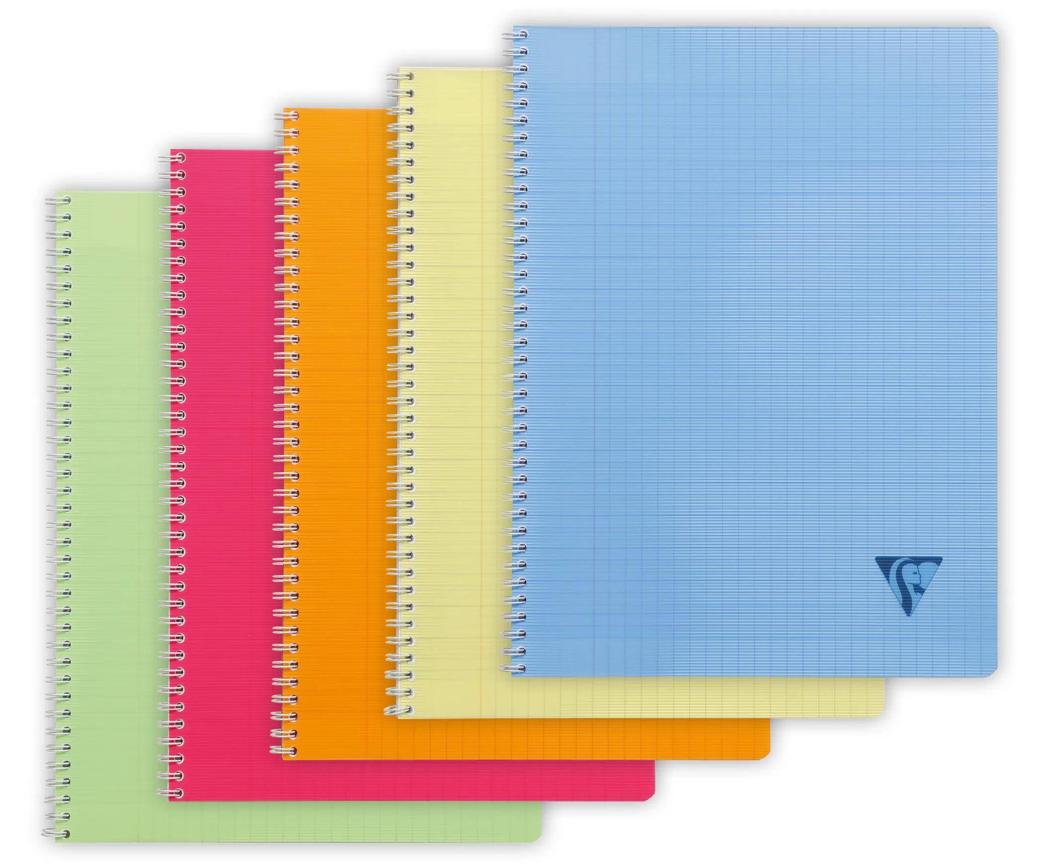 Clairefontaine 10x Notizheft 24x32cm 50 Blatt 90g FR liniert sortiert 328315C