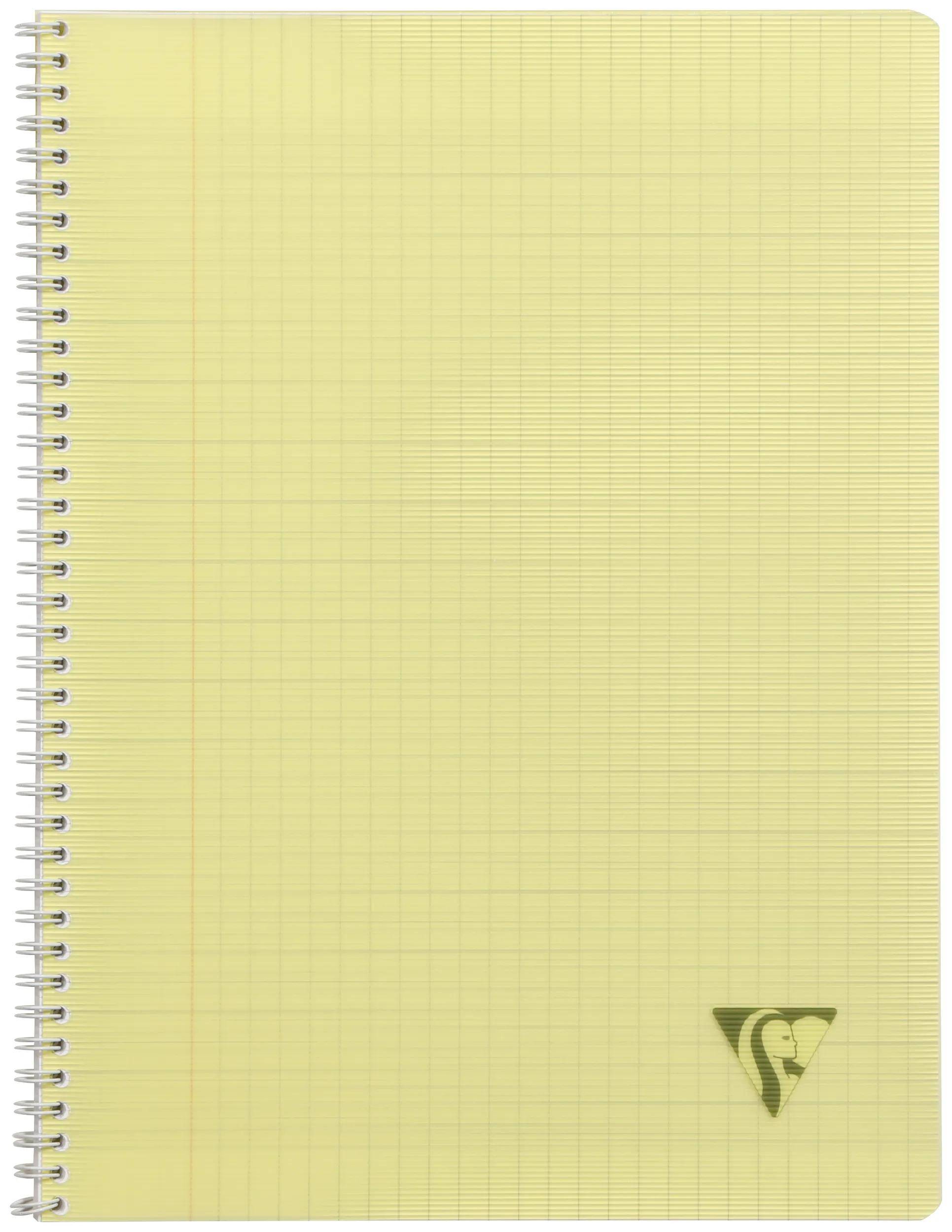 Clairefontaine 10x Notizheft 24x32cm 50 Blatt 90g FR liniert sortiert 328315C