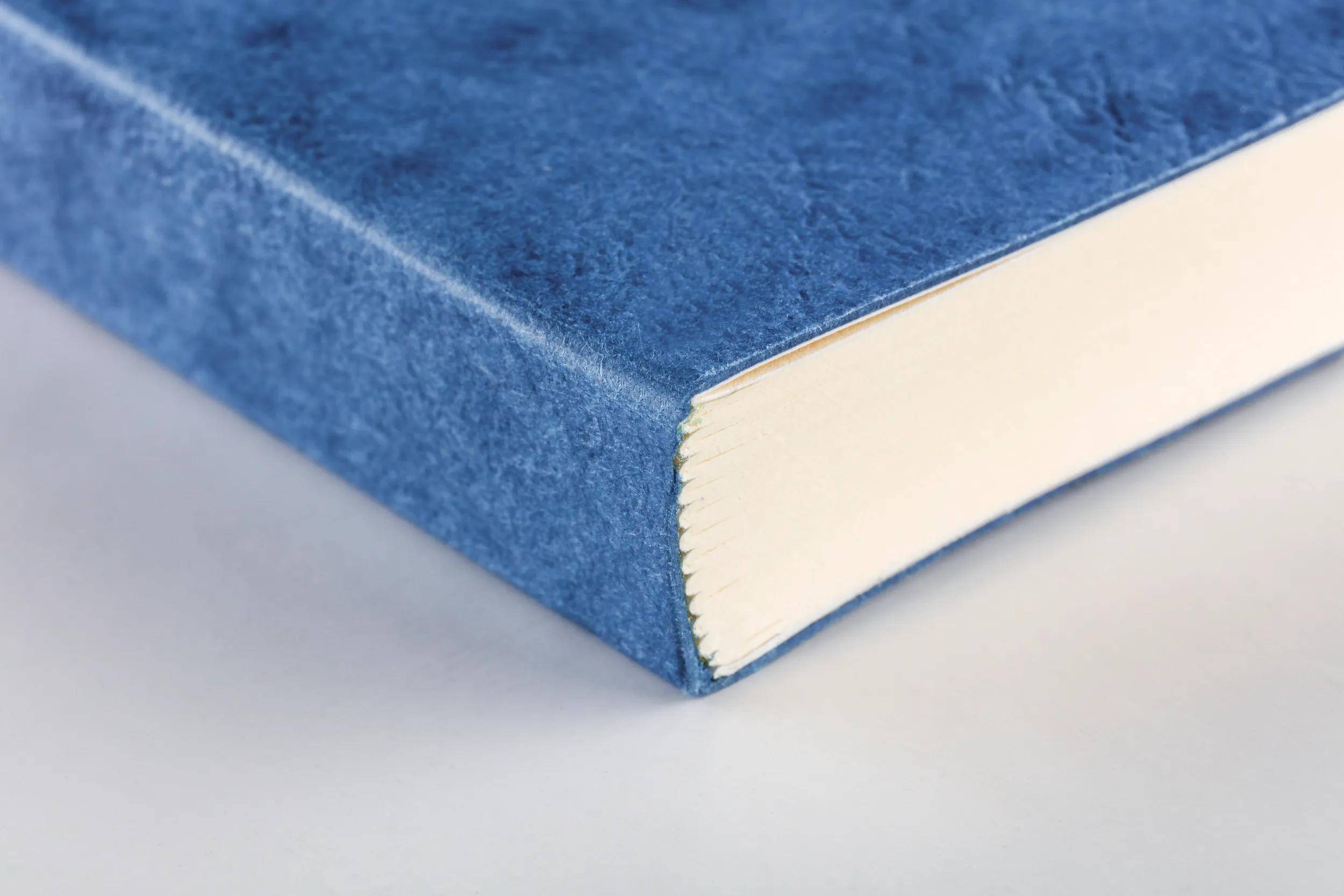Nahaufnahme eines blauen Hardcover-Buches, das auf einer hellen Oberfläche liegt und den Rücken sowie die cremefarbenen Seitenkanten zeigt.