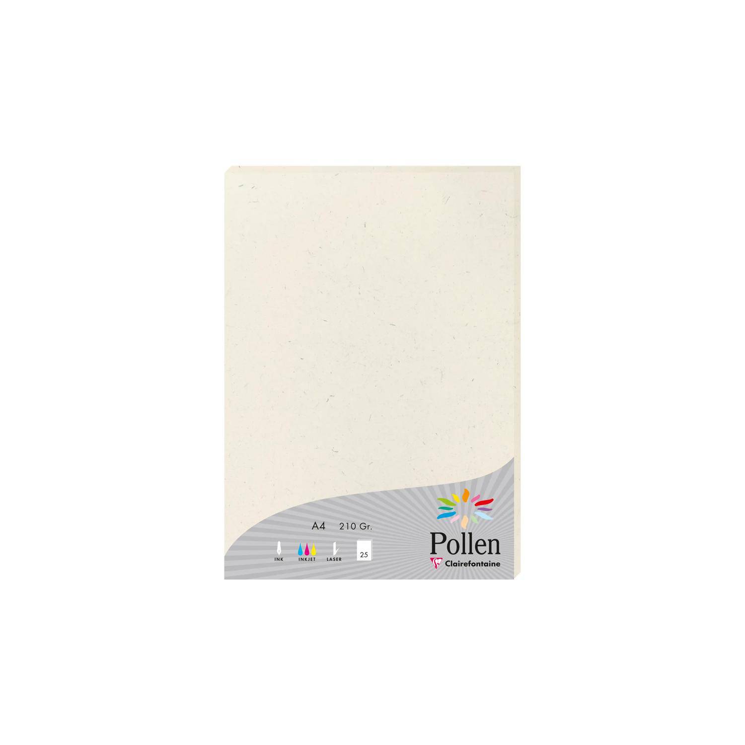 Pollen 10x Pollen, Natura 100% recycelt, Schachtel 25 Bl A4 210g Natura 55014C