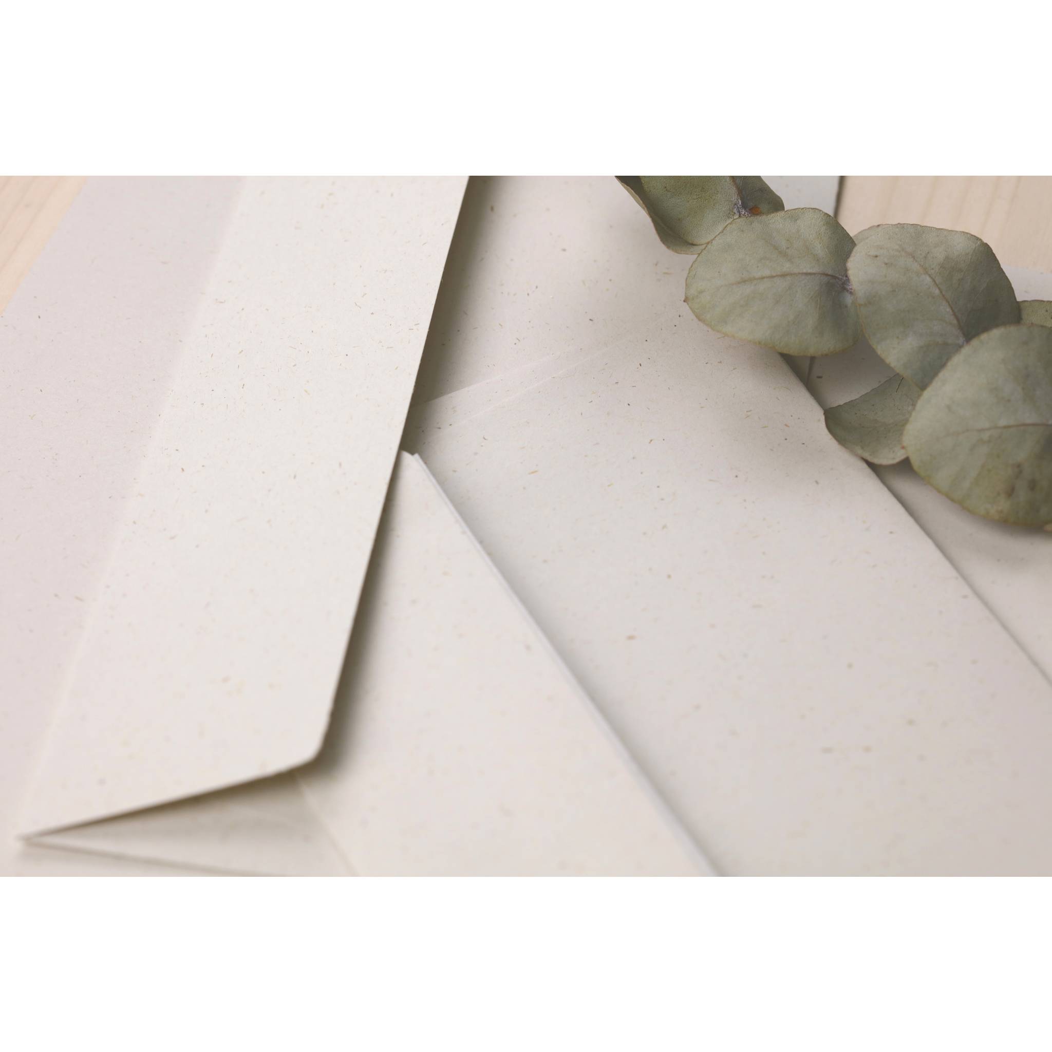 Pollen 10x Pollen, Natura 100% recycelt, Schachtel 25 Bl A4 210g Natura 55014C