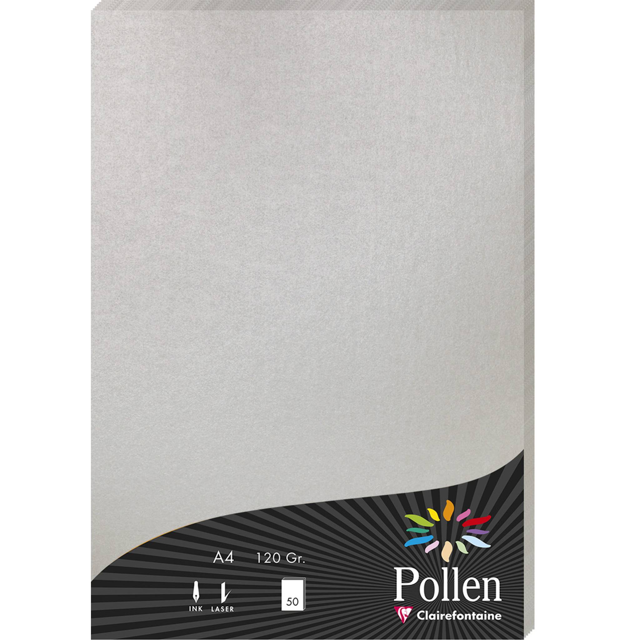 Pollen 10x Papier A4 Pollen 120g 50 Blatt - Silber 4199C