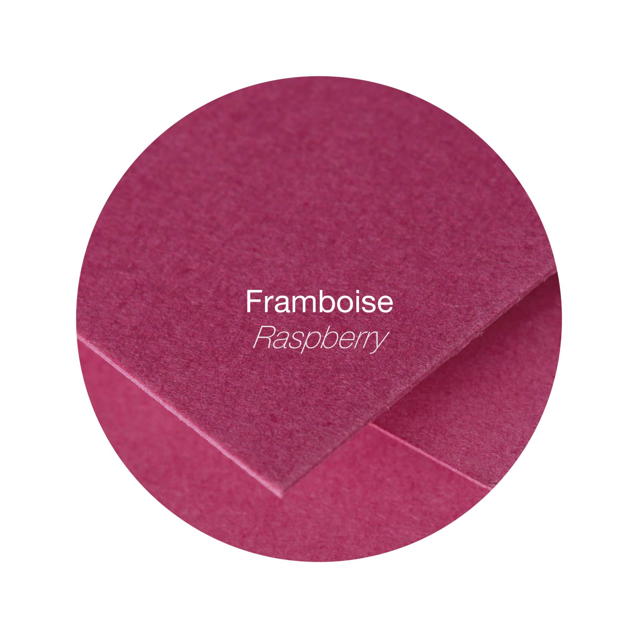 Pollen 10x Papier A4 Pollen 120g 50 Blatt - Himbeer 4206C