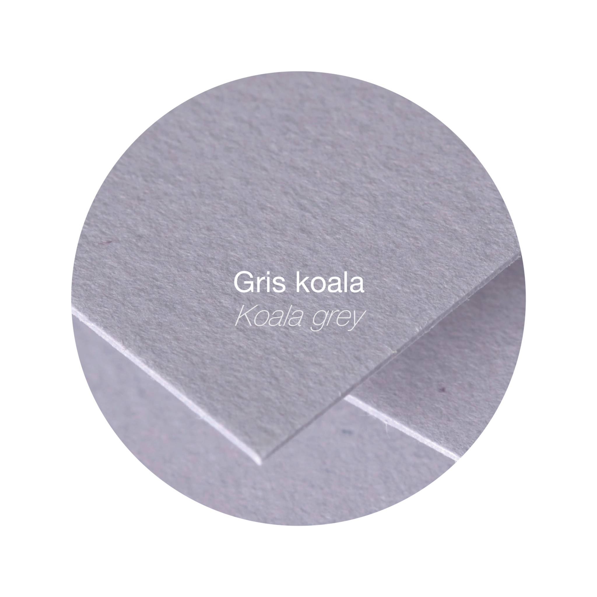 Pollen 10x Packung mit 25 Blatt Pollen A4 210x297 210g/m2 - Koalagrau 24232C