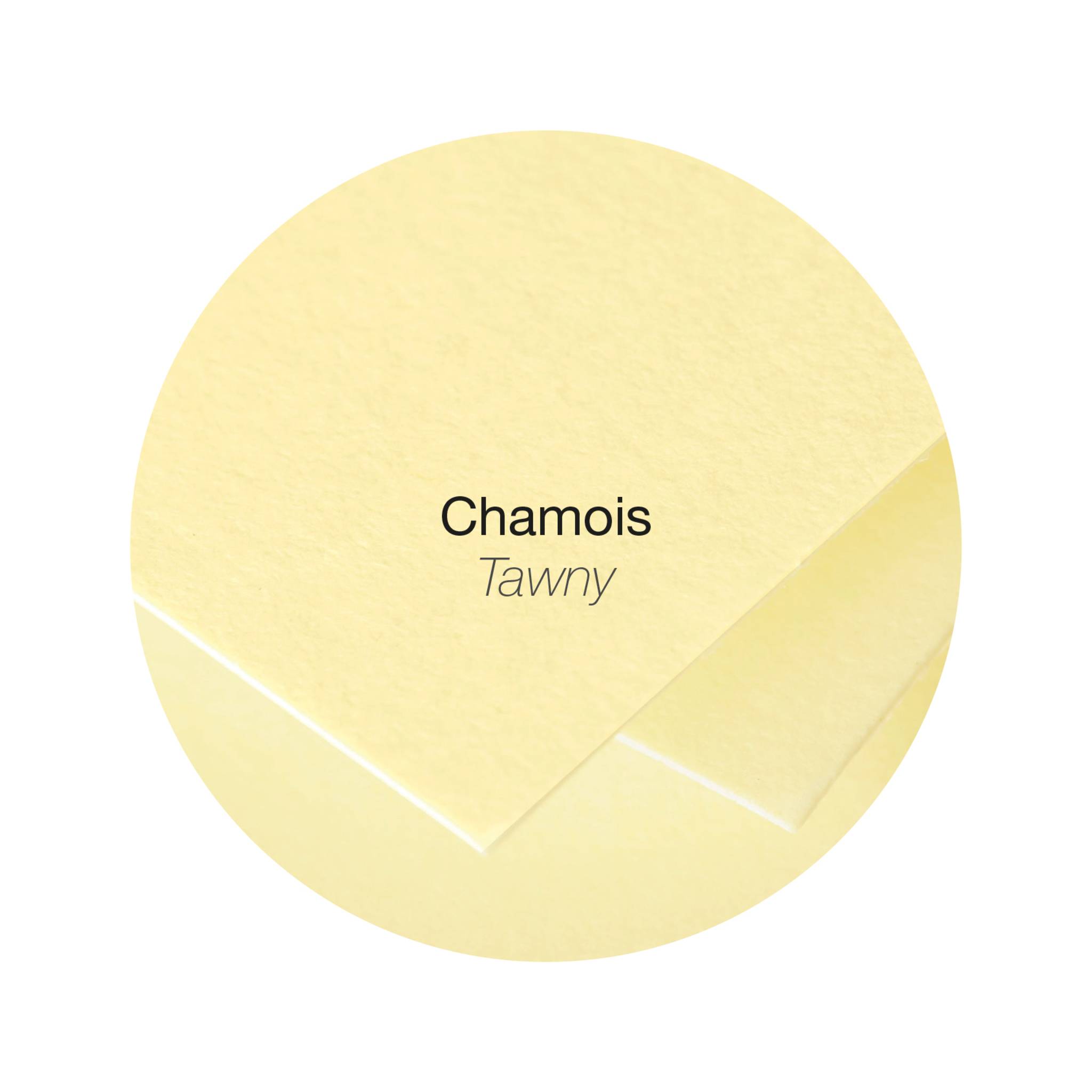 Pollen 10x Papier A4 Pollen 120g 50 Blatt - Chamois 4296C