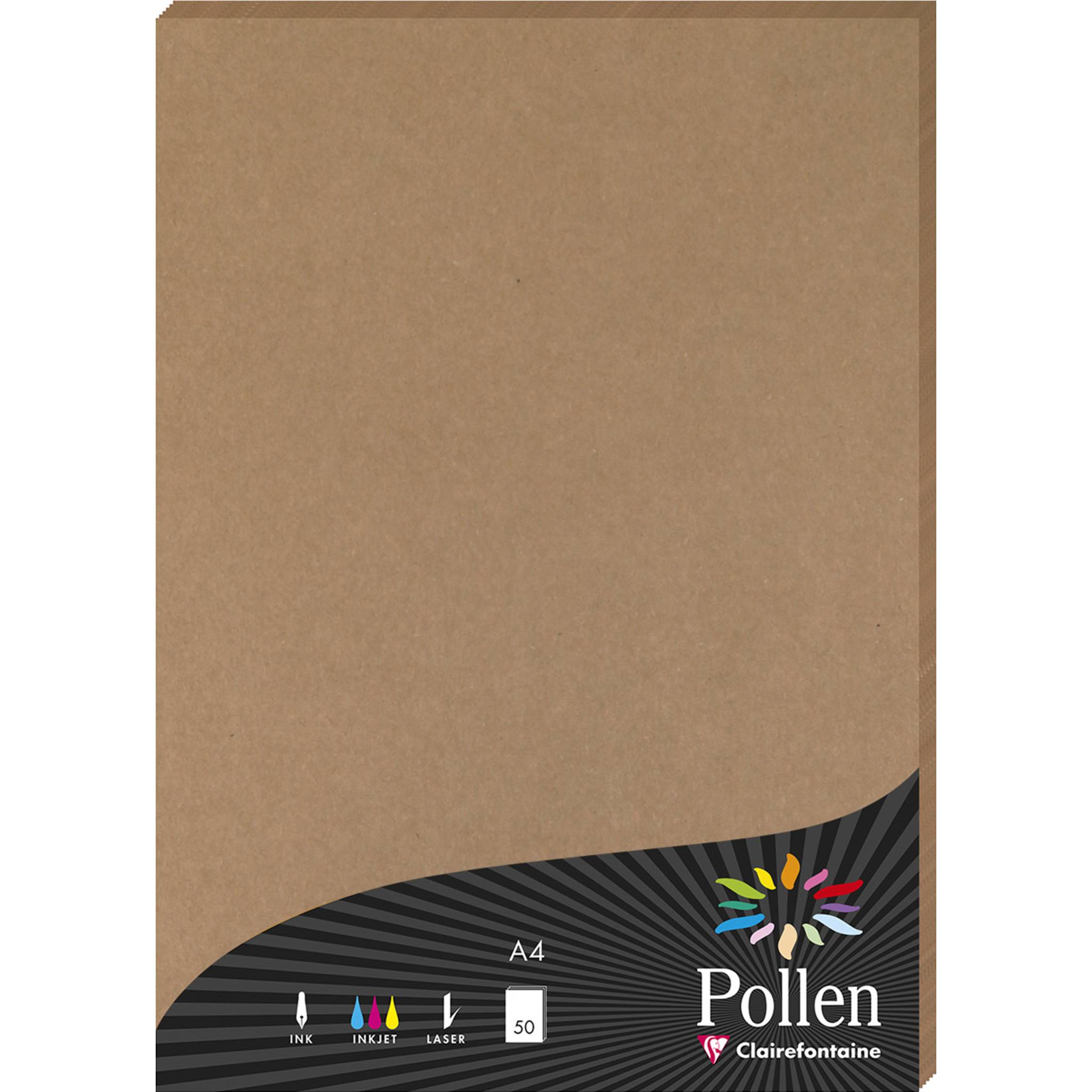 Pollen 10x Papier A4 Pollen 120g 50 Blatt - Kartonbraun 29135C