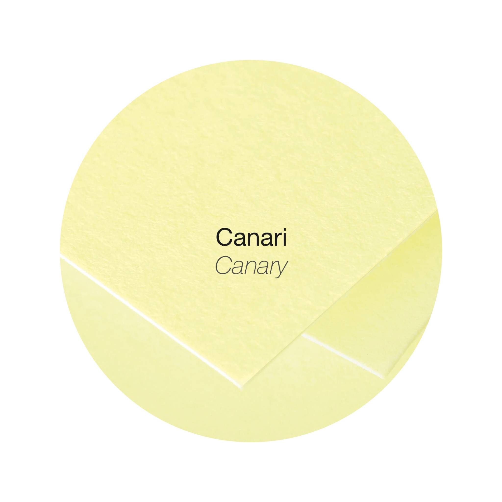 Pollen 10x Papier A4 Pollen 120g 50 Blatt - Kanariengelb 4207C