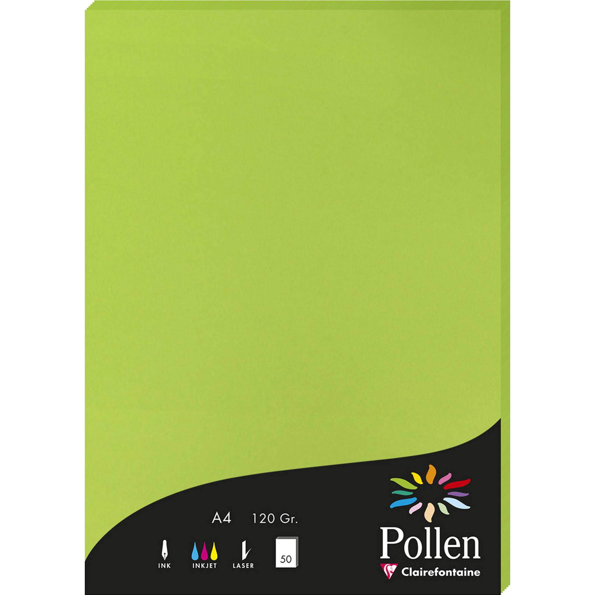 Pollen 10x Papier A4 Pollen 120g 50 Blatt - Minze 4215C