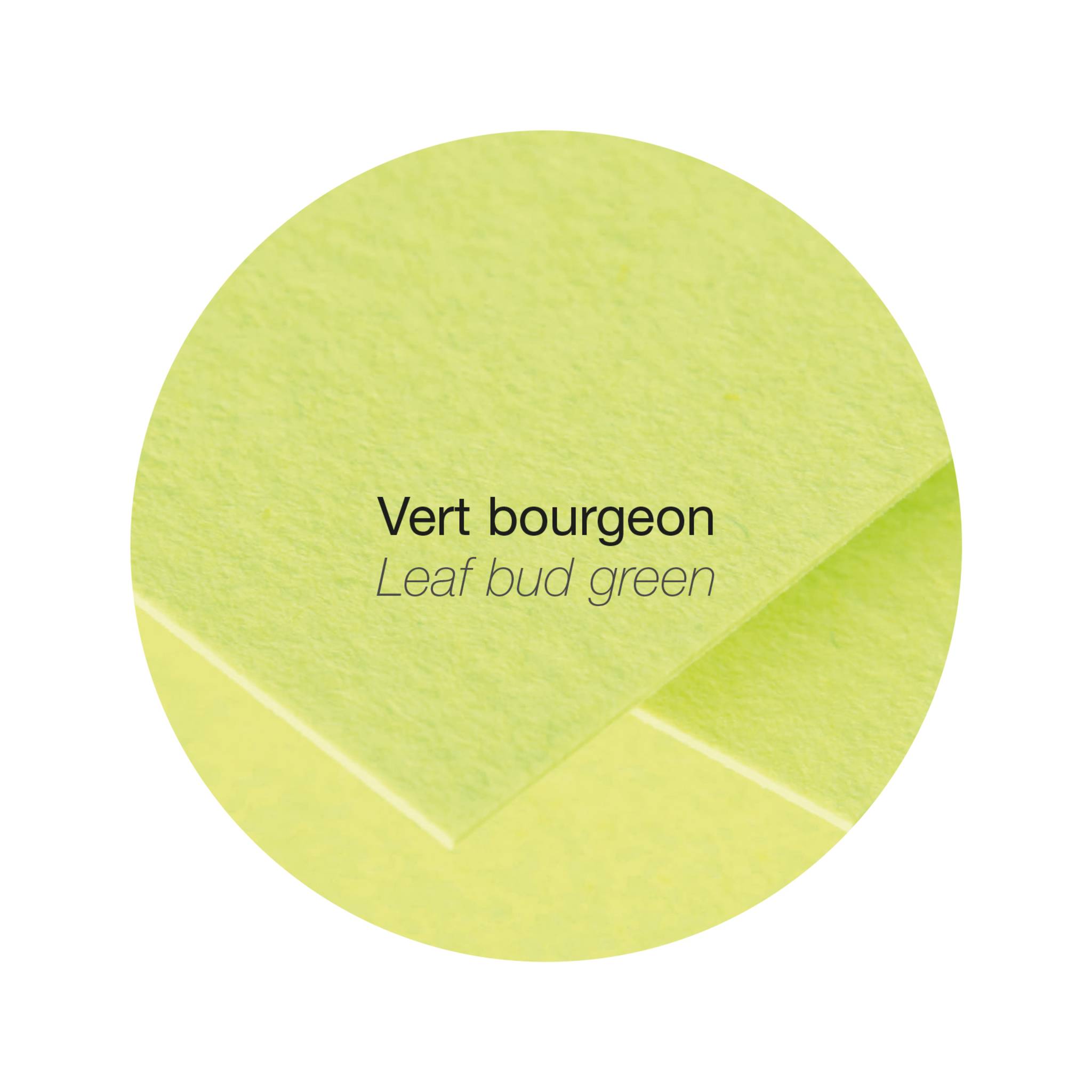 Pollen 10x Packung mit 25 Blatt Pollen A4 210x297 210g/m2 - Knospengrün 224205C