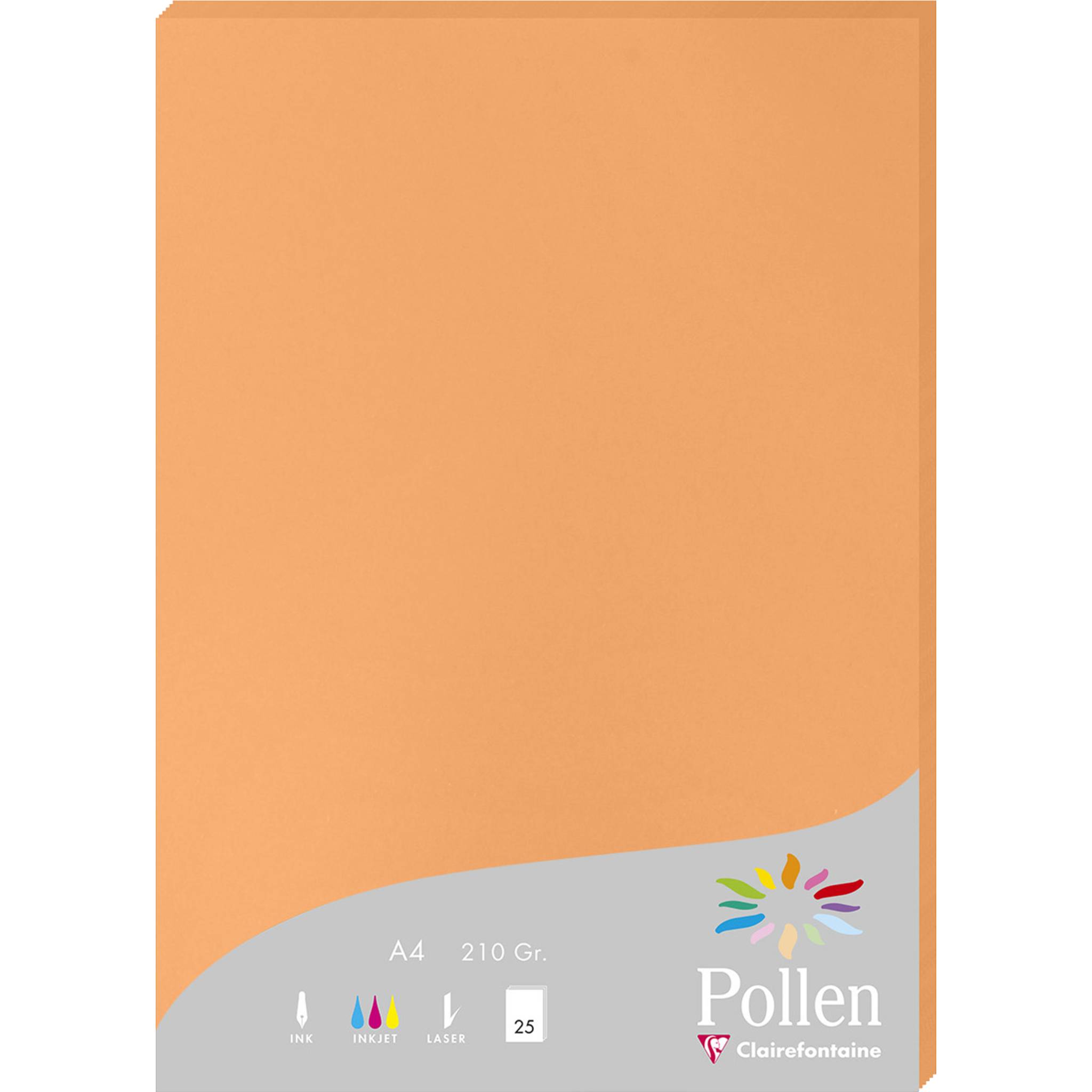 Pollen 10x Packung mit 25 Blatt Pollen A4 210x297 210g/m2 - Clementine 24208C