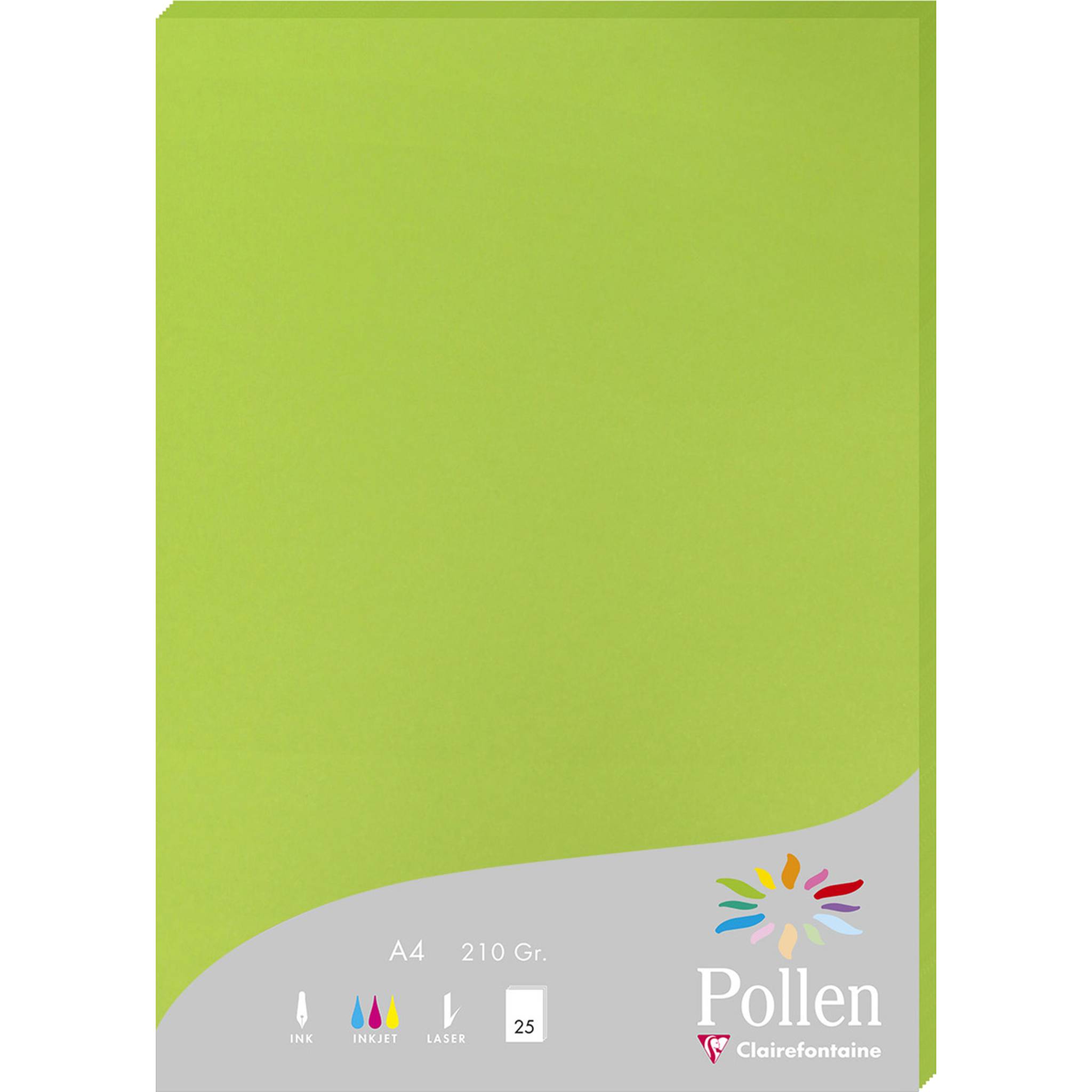 Pollen 10x Packung mit 25 Blatt Pollen A4 210x297 210g/m2 - Minze 24215C