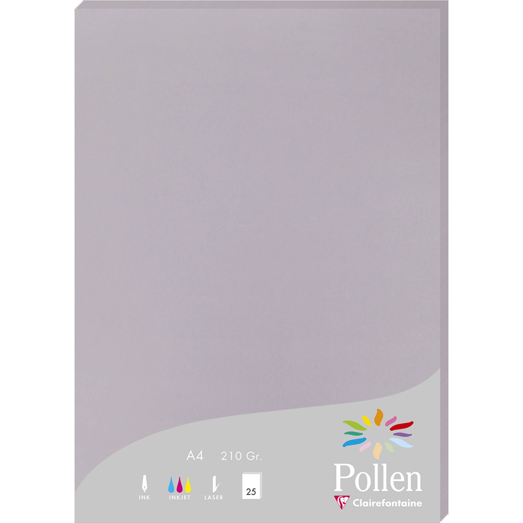Pollen 10x Packung mit 25 Blatt Pollen A4 210x297 210g/m2 - Koalagrau 24232C