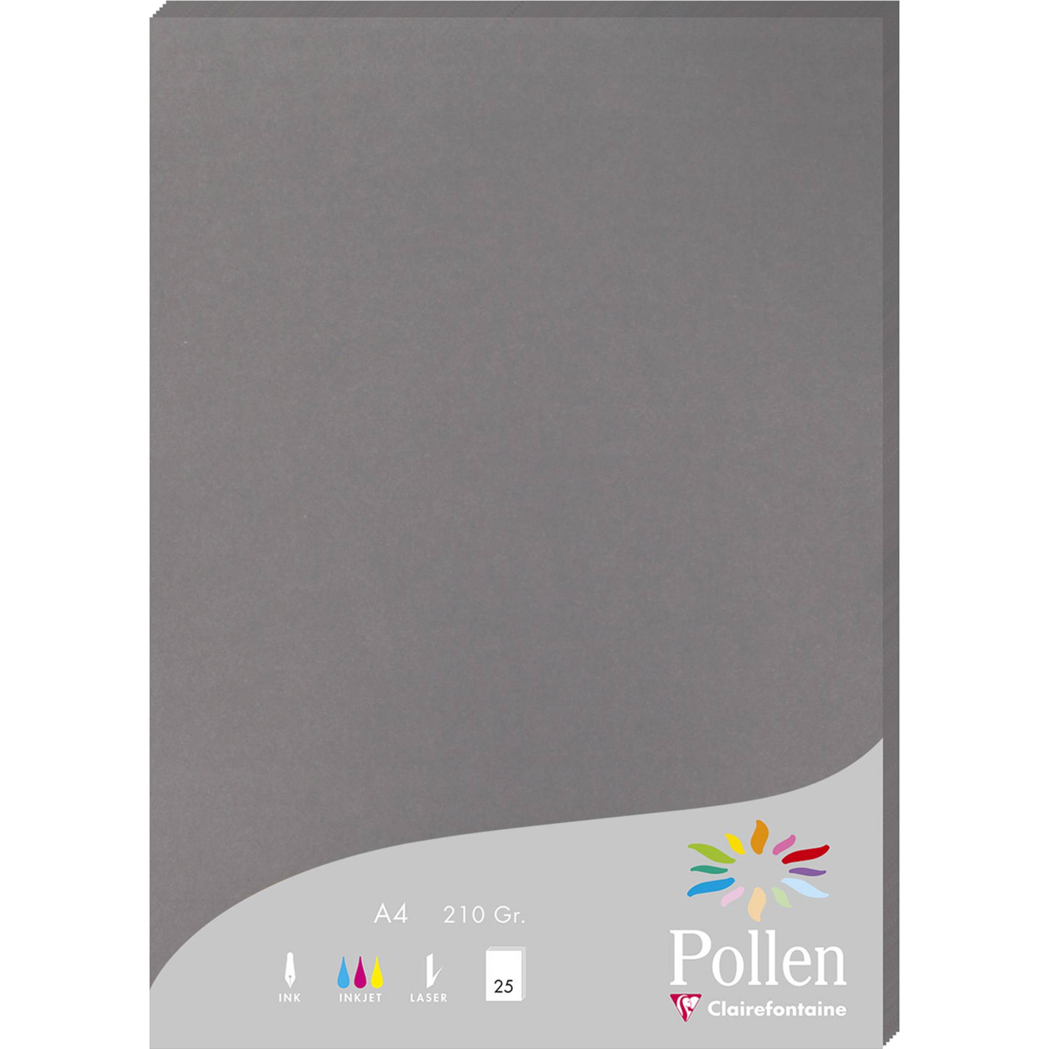 Pollen 10x Packung mit 25 Blatt Pollen A4 210x297 210g/m2 - Stahlgrau 24283C