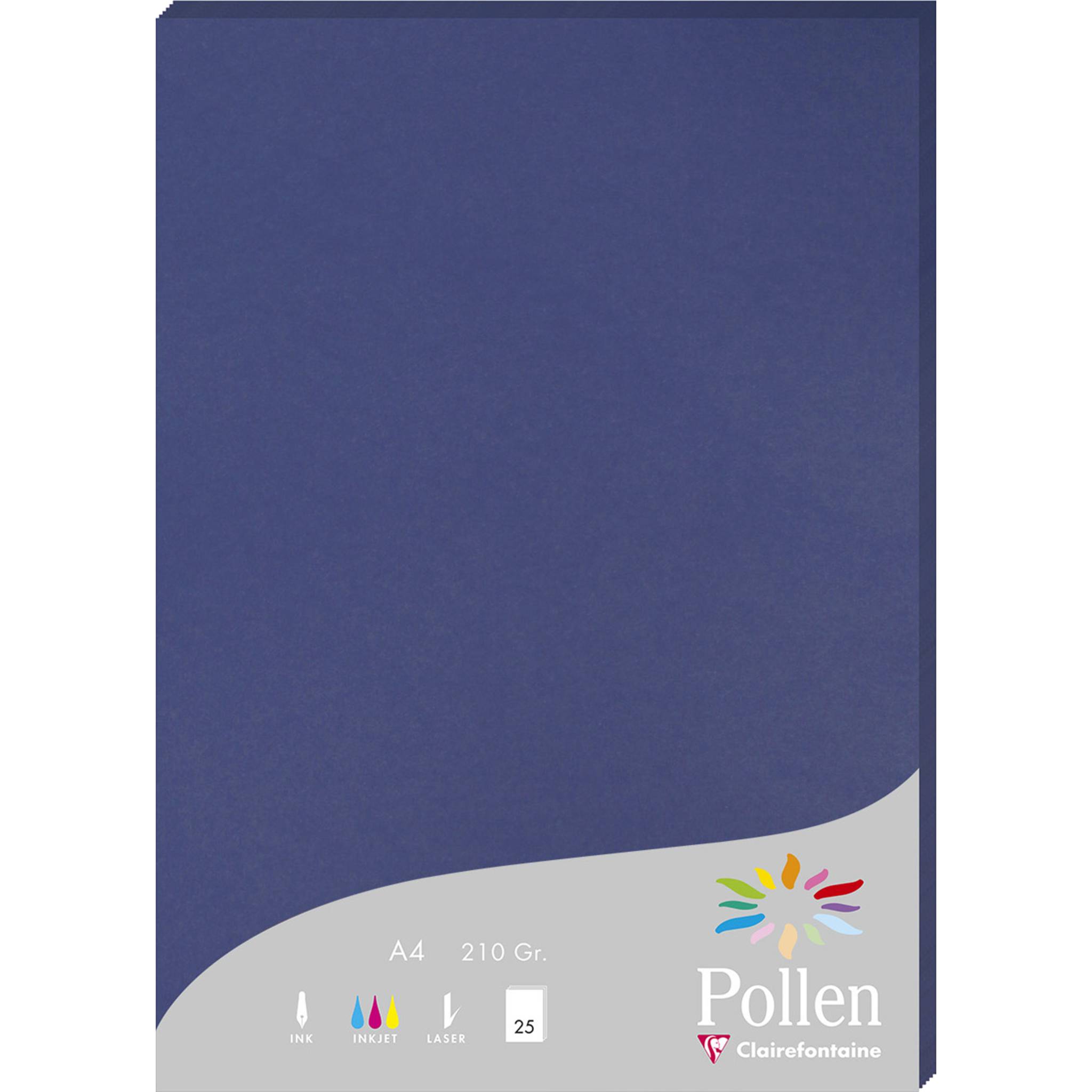 Pollen 10x Packung mit 25 Bl Pollen A4 210x297 210g/m2 Mitternachtsblau 24284C