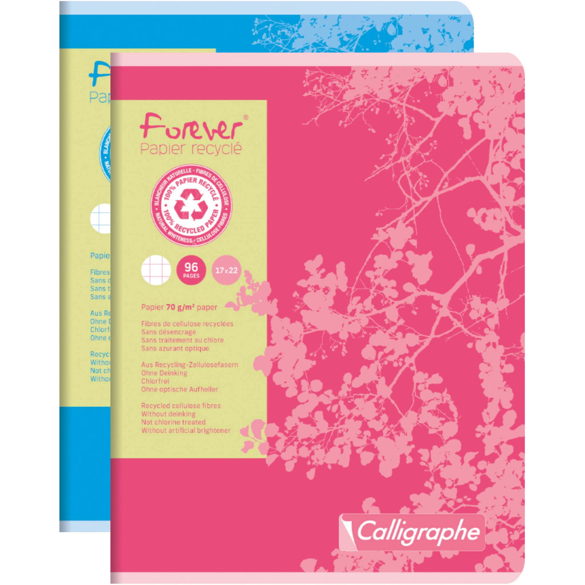 Calligraphe 10x Forever Heft 17x22 48Bl Kariert 70g - Sortiert 17105C