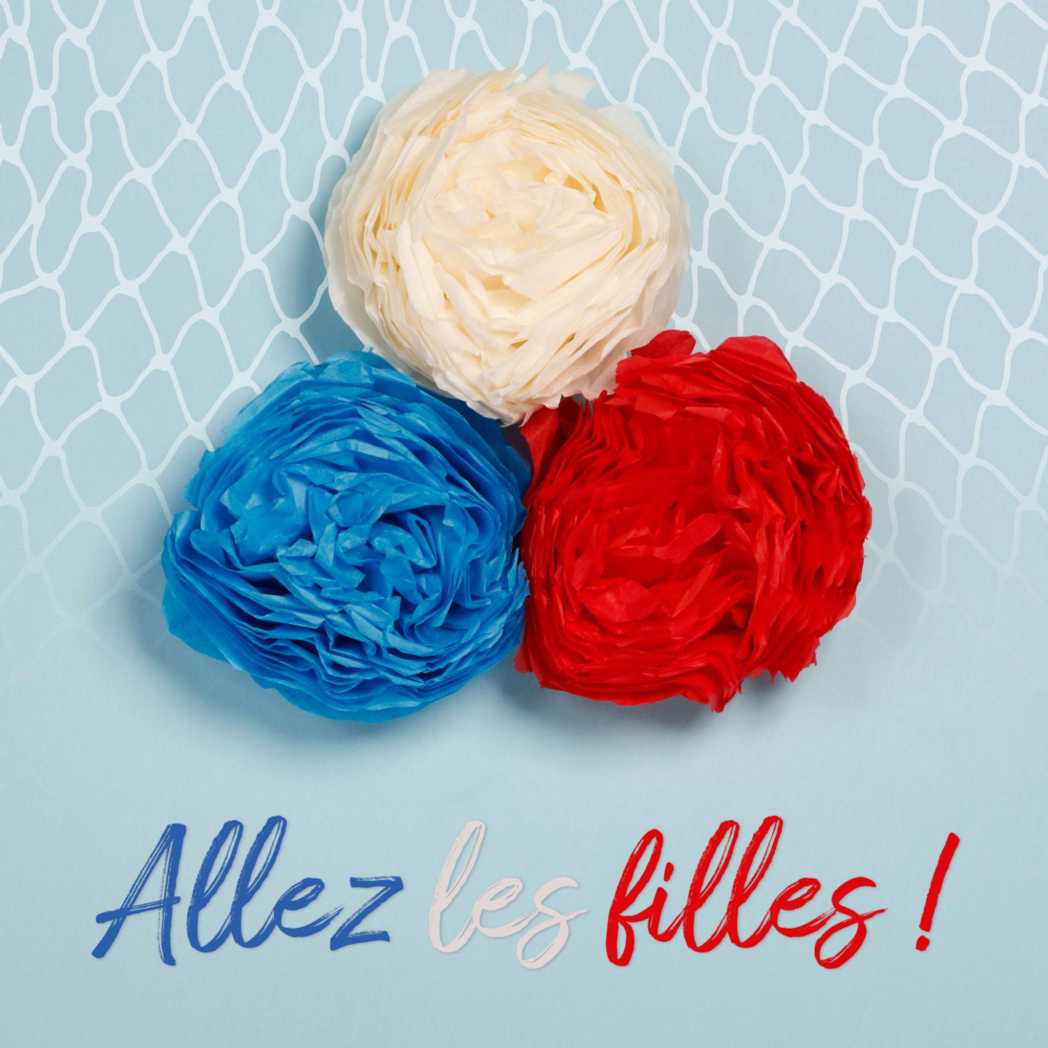 Clairefontaine 10x Seidenpapier, Pkg 8 Bogen 18g im Format 50x75cm Weiß 95401C