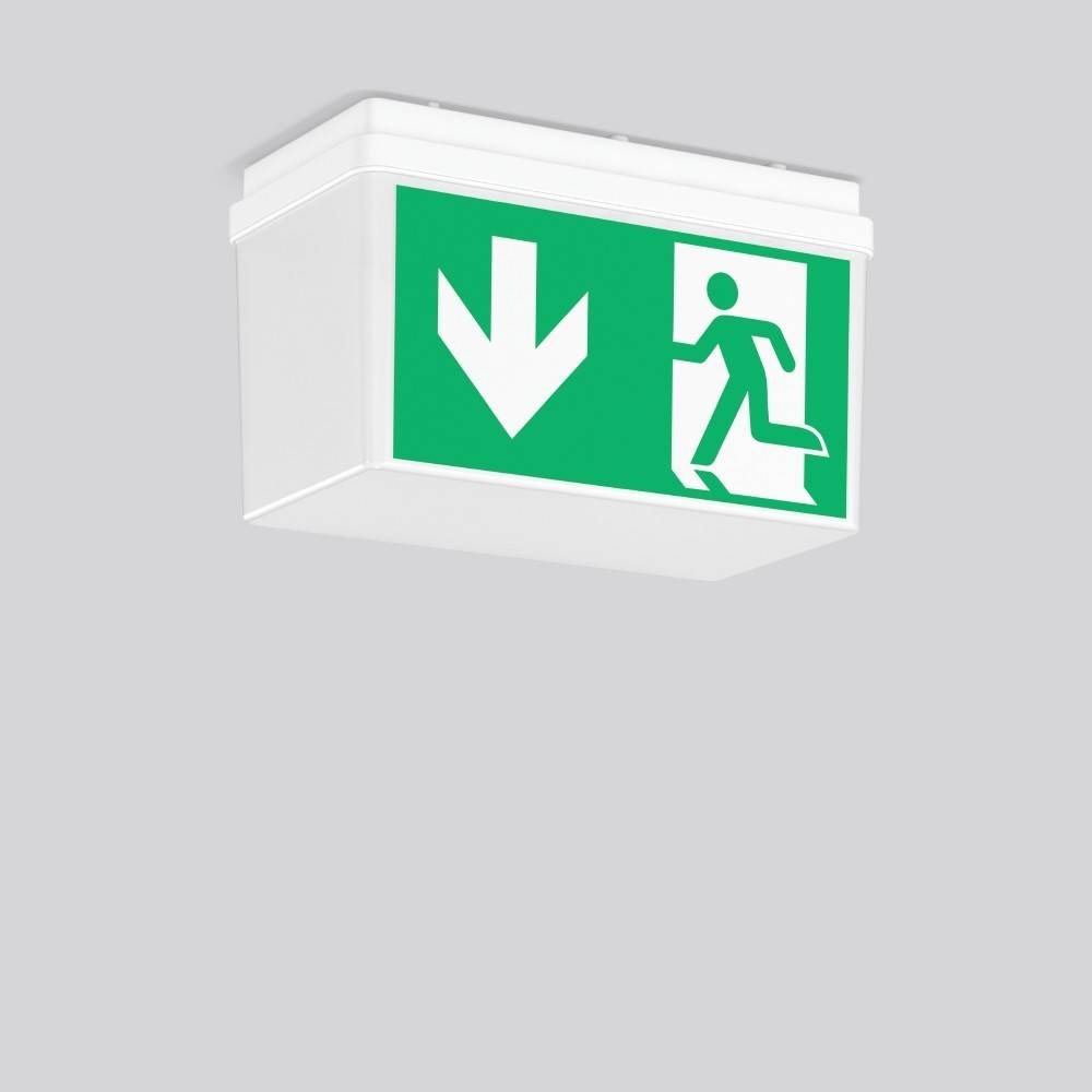 RZB Sicherheitsleuchte 672520.002.F1