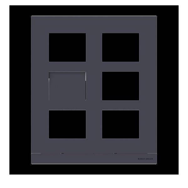 Busch-Jaeger Frontplatte Video 2/3 41386CF-B-03