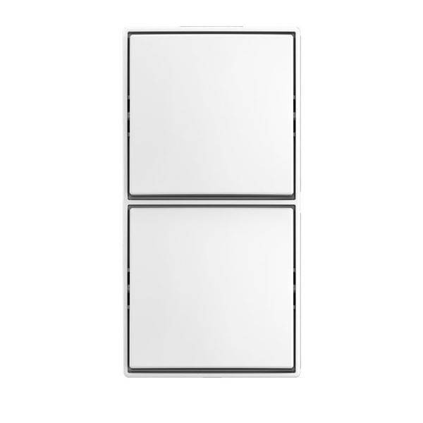 Busch-Jaeger Kombi Schalter/Schalter AP 2601/6/2601/6 APJ524