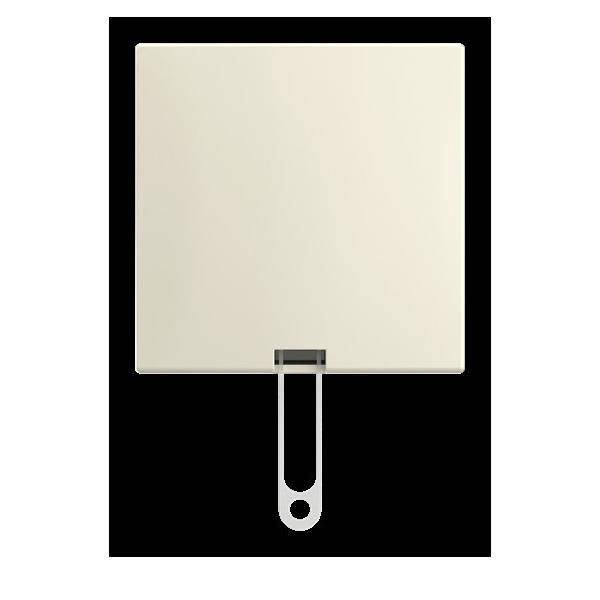 Busch-Jaeger Zugschalter AP 2610/6 J-522