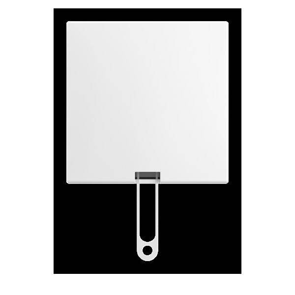 Busch-Jaeger Zugschalter AP 2610/6 J-524