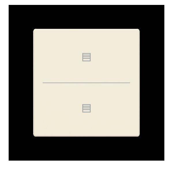 Busch-Jaeger Abdeckung als Taster LFJT/A.2.63.11-82