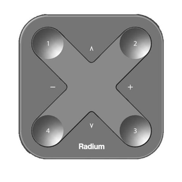 Radium Lampenwerk Smarter Schalter LMZA4954