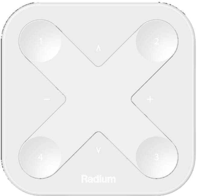 Radium Lampenwerk Smarter Schalter LMZA4955