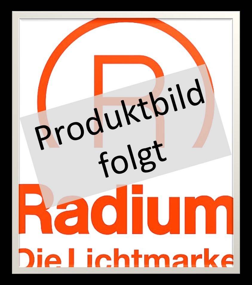 Radium Lampenwerk Aluprofil m.Abdeckung 1m FXZA4566