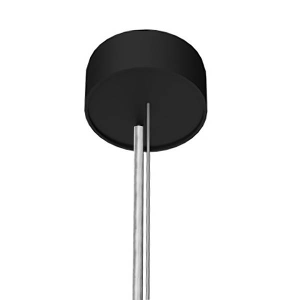 Eine schwarz-silberne, an der Decke montierte Leuchte mit einem einfachen, modernen Design.