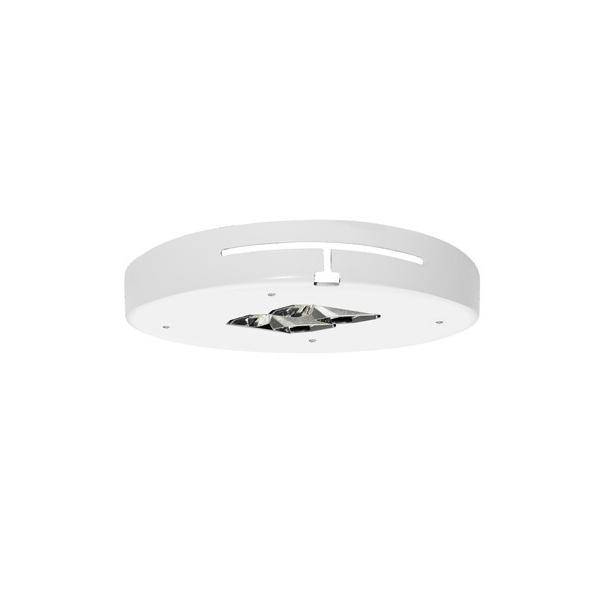 Siteco Geräteträger 5XA1565E1F