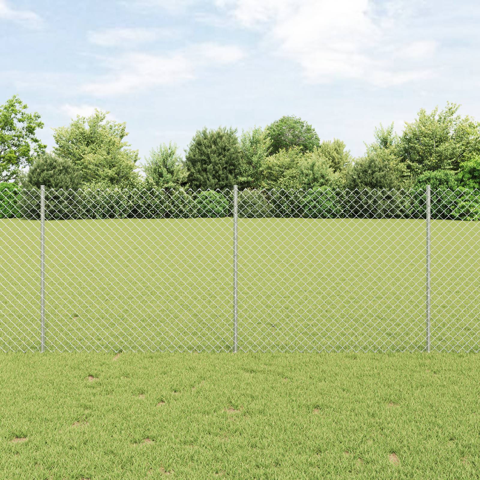 vidaXL Drahtzaun mit 20 U-Posts Silber 1x10 m Stahl