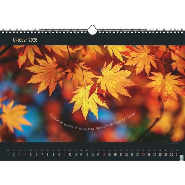 Bildkalender 44x31cm 1 Seite/Monat Stille Momente 2026