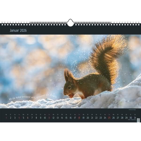 Bildkalender 44x31cm 1 Seite/Monat Stille Momente 2026