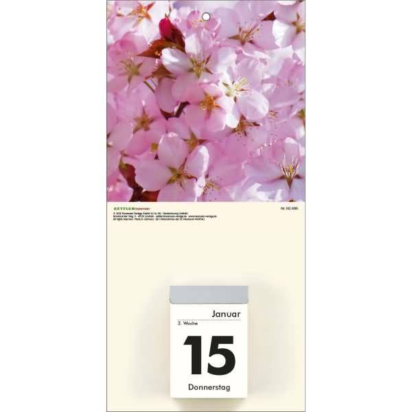 Kalenderrückwand 14,5x30cm für Typ 301 / 302 Blumen sortiert