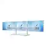 Flat-System Tisch-Stand 3er - 20''-24'' Flat-System Tisch-Stand 3er - 20''-24''