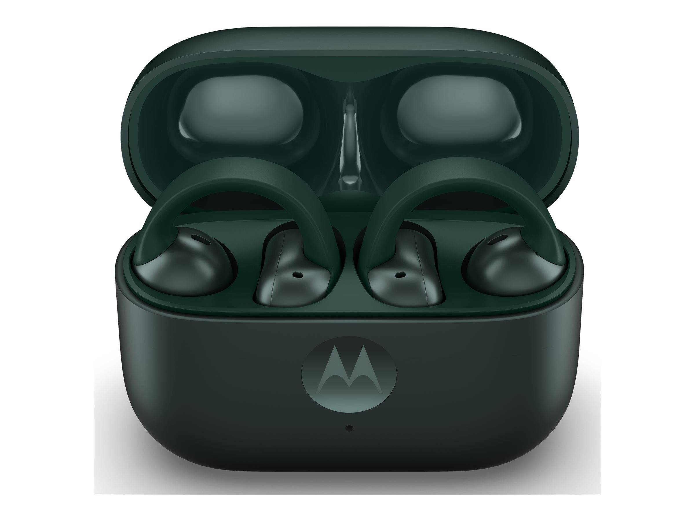 MOTOROLA moto buds loop In-Ear-Kopfhörer grün