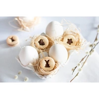 Städter - Premium Ausstechform - Ostern mini 4-tlg - Einzigartiger Ausstecher - Perfekt für Kreative Backkreationen für Ostern Städter - Premium Ausstechform - Ostern mini 4-tlg - Einzigartiger Ausstecher - Perfekt für Kreative Backkreationen für Ostern