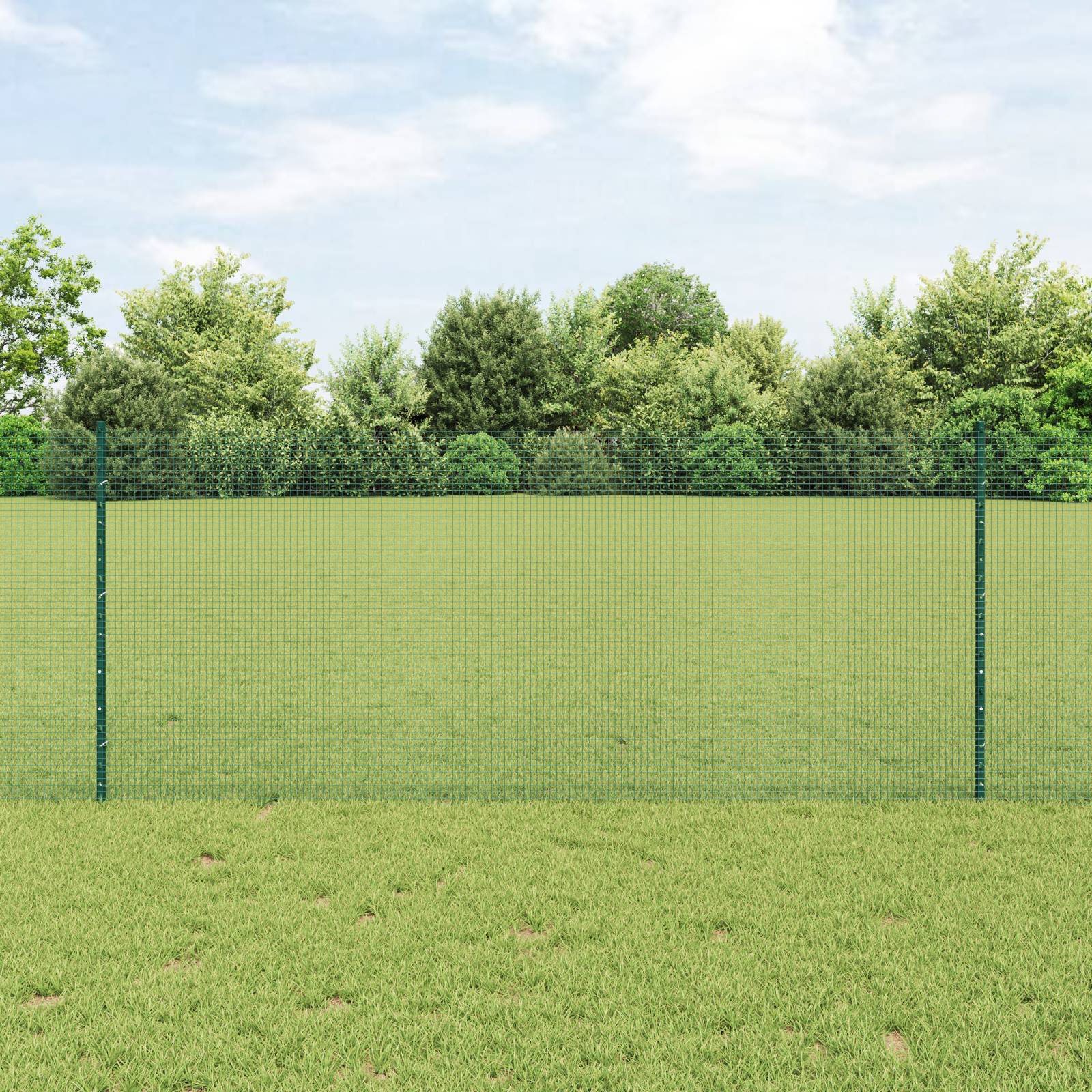 vidaXL Gartenzaunset Set von 2 Grün Metall 10 x 1 m Langlebig