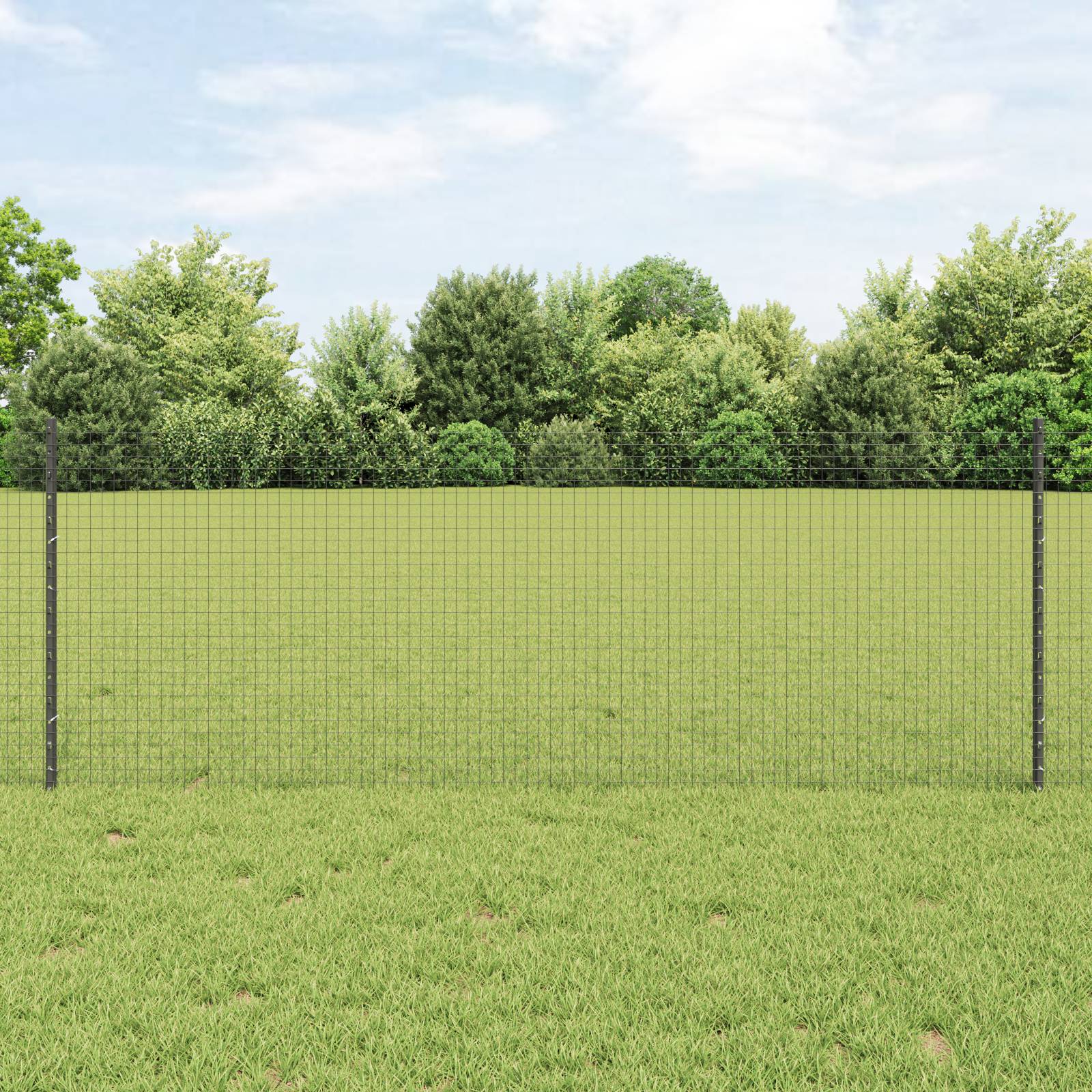 vidaXL Verschweißter Drahtzaun mit 5 U-Stützen Grau 0.8x10 m Stahl