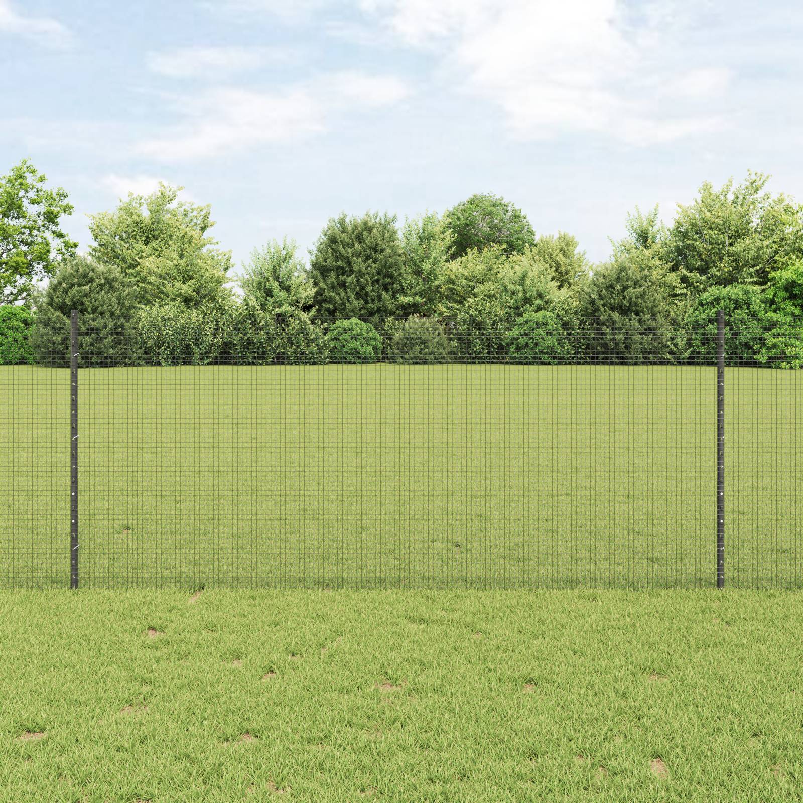 vidaXL Hühnerdrahtzaun-Set Set aus 2 Grau Metall 10 x 1 m Langlebig