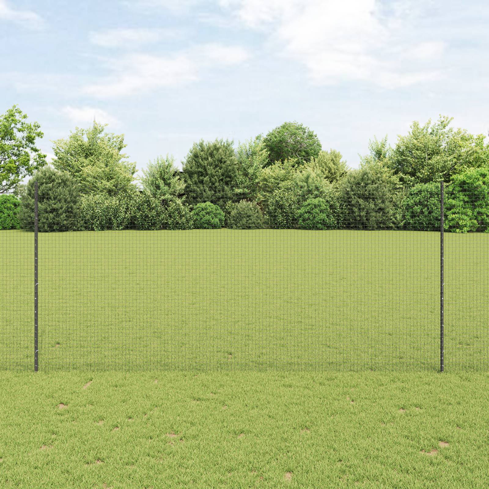 vidaXL Schweißdrahtzaun mit 10 U-Posts Anthrazit 1.4x10 m Stahl