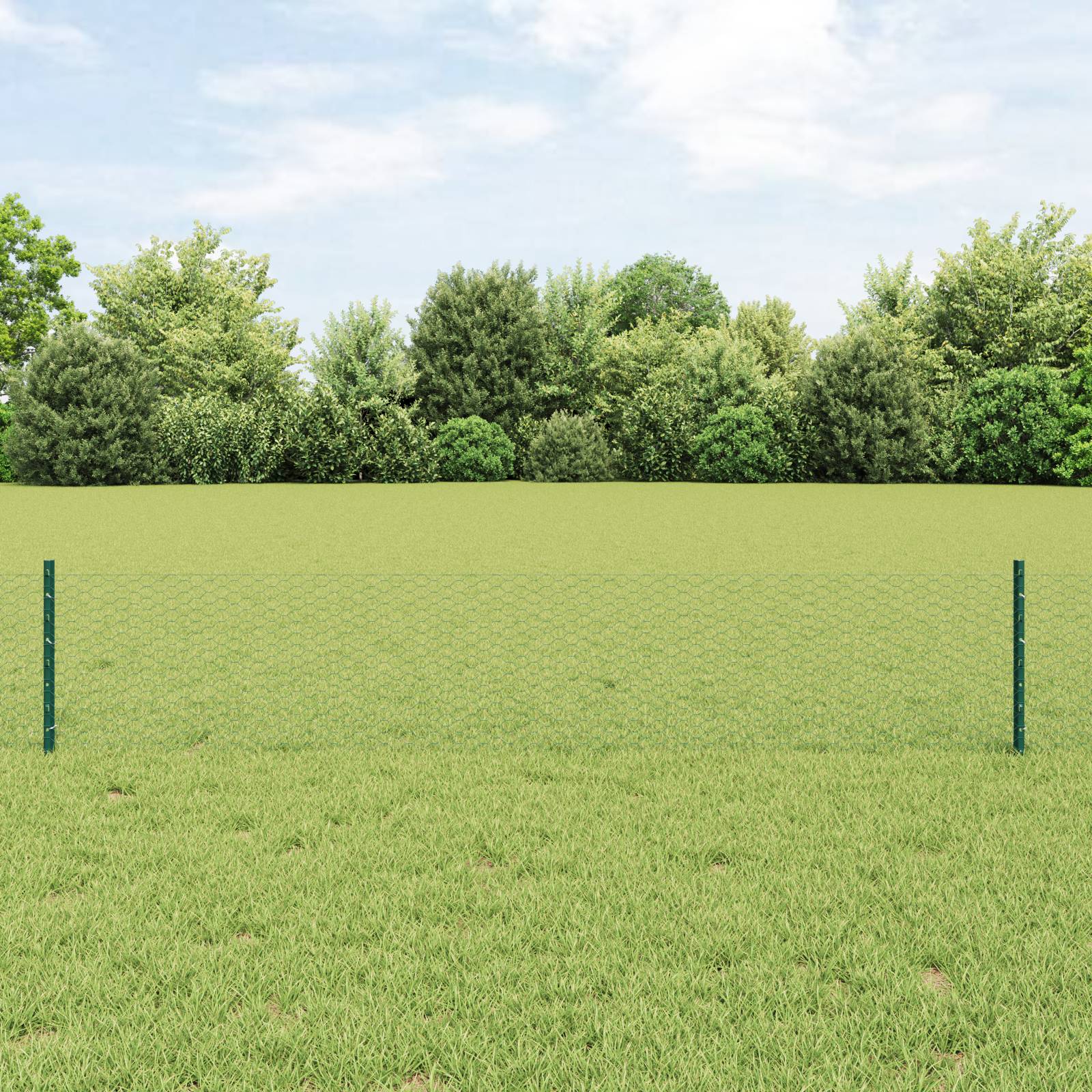vidaXL Sechseckiges Gartenzaun-Set Set von 2 Grün