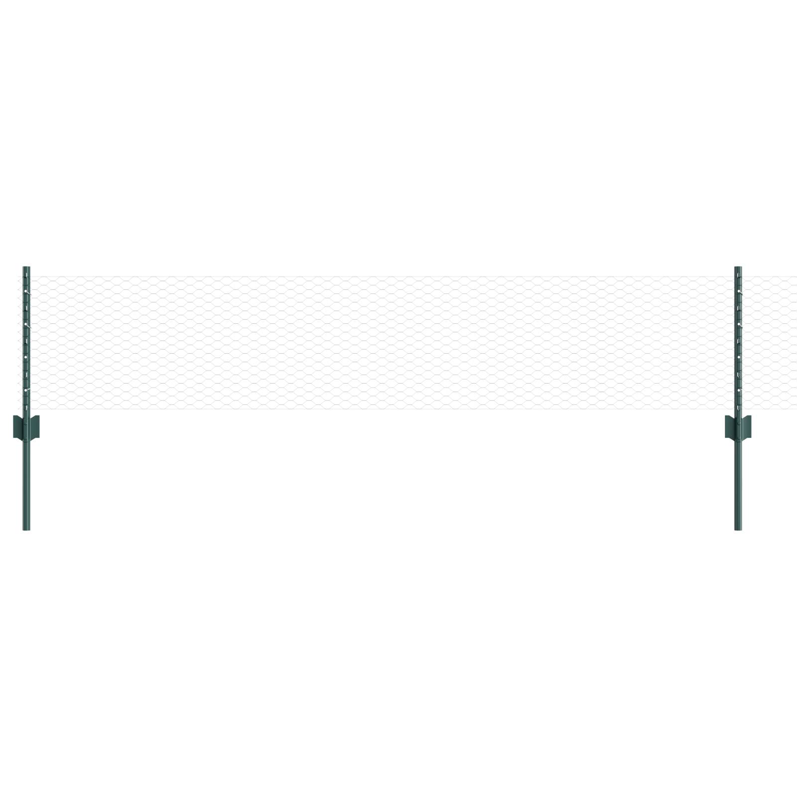 vidaXL Sechseckiges Gartenzaun-Set Set von 2 Grün