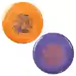 Wham-O Frisbee Go 2er Pack Flugscheibe ab 5 Jahren, 22.86 cm - 70g Wham-O Frisbee Go 2er Pack Flugscheibe ab 5 Jahren, 22.86 cm - 70g